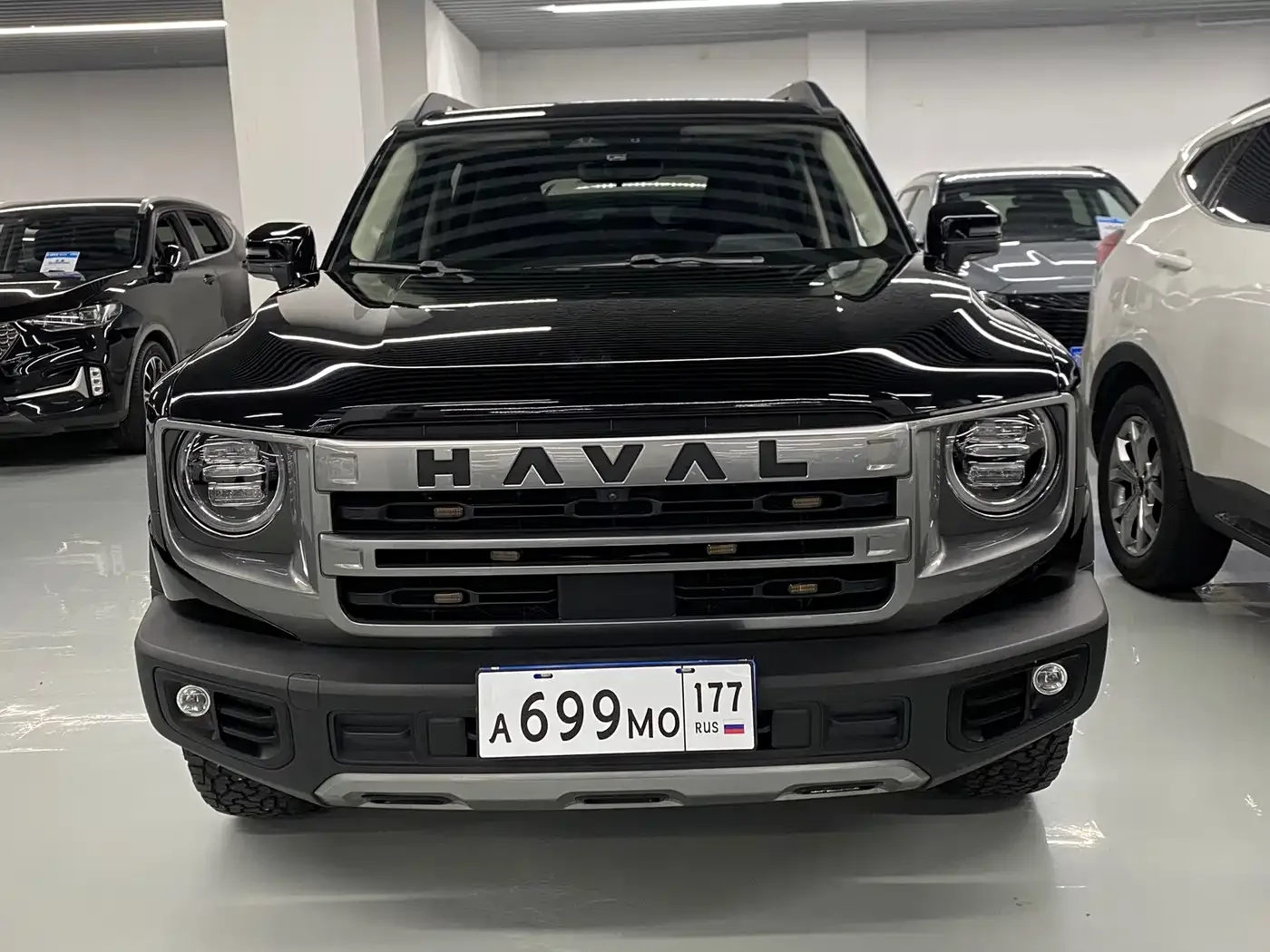 Haval Haval Big Dog 2024 1.5T DCT Border Collie Edition — Фото автомобиля 2
