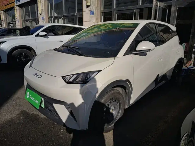 Фотография автомобиля — BYD Seagull