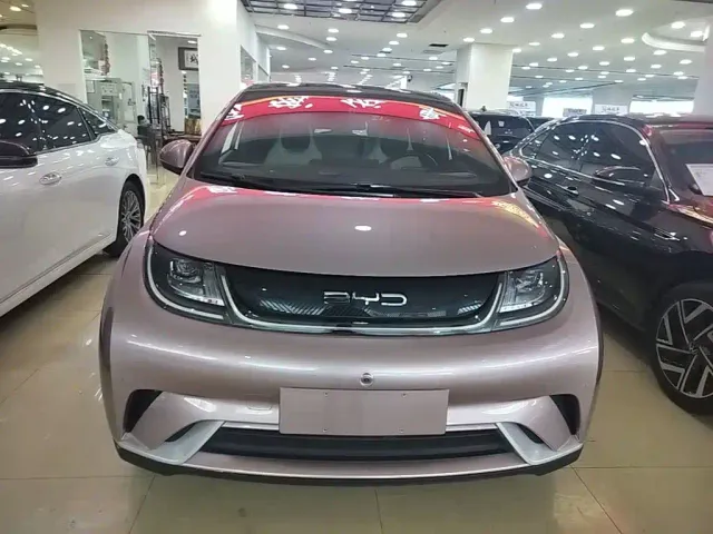 BYD Dolphin — Фото автомобиля 2