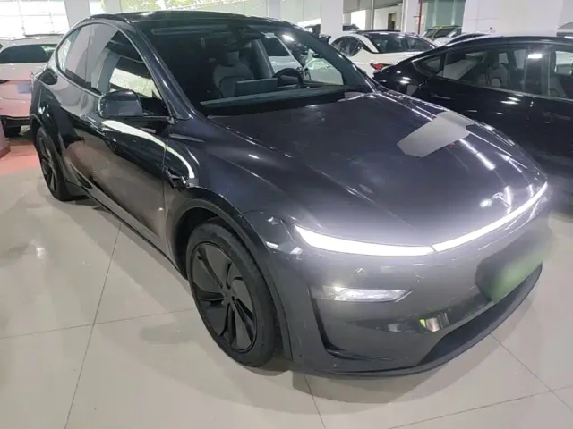 Tesla Model Y — Фото автомобиля 3