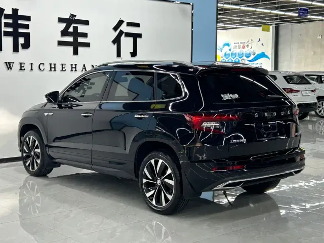 Skoda Karoq — Фото автомобиля 10