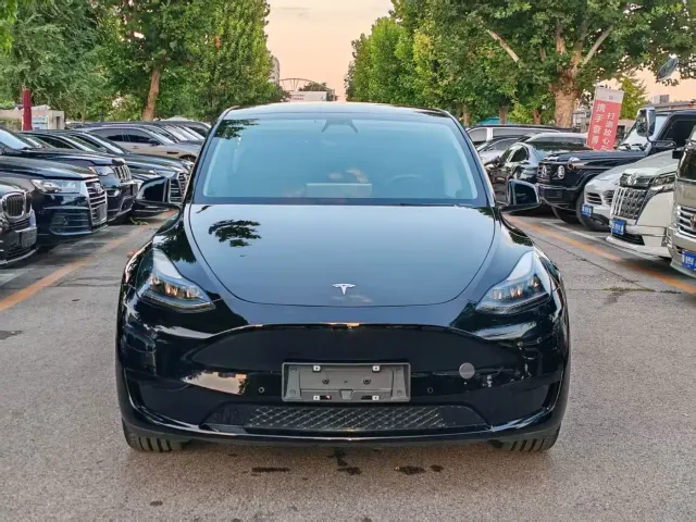 Tesla Model Y — Фото автомобиля 2