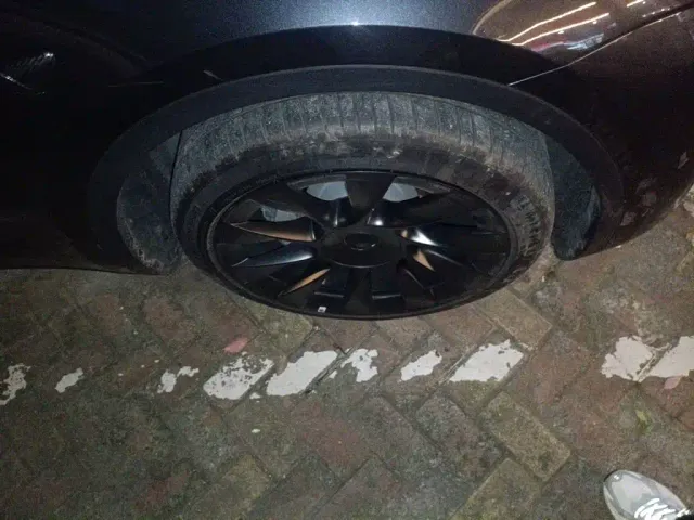 Tesla Model Y — Фото автомобиля 25
