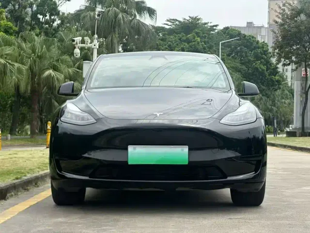 Tesla Model Y — Фото автомобиля 2