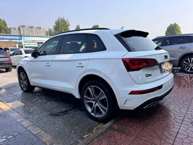 Audi Q5L — Фото автомобиля 2
