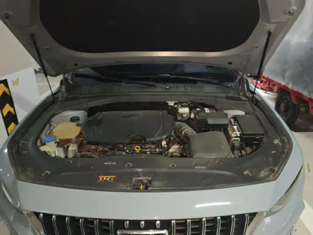 Geely Xingrui — Фото автомобиля 21
