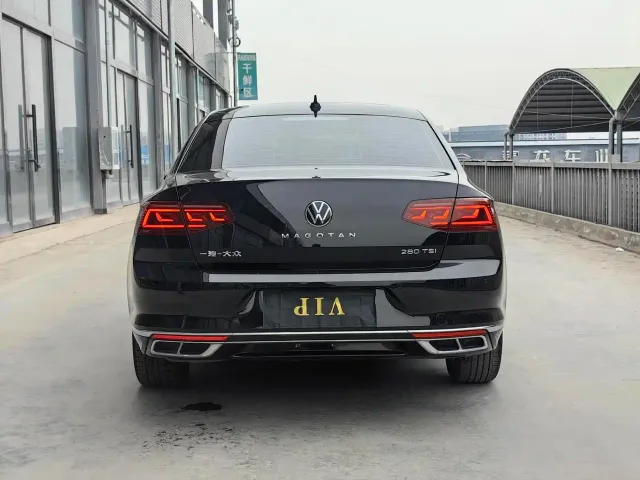 Volkswagen Magotan — Фото автомобиля 4