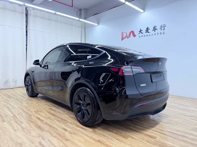 Tesla Model Y — Фото автомобиля 4