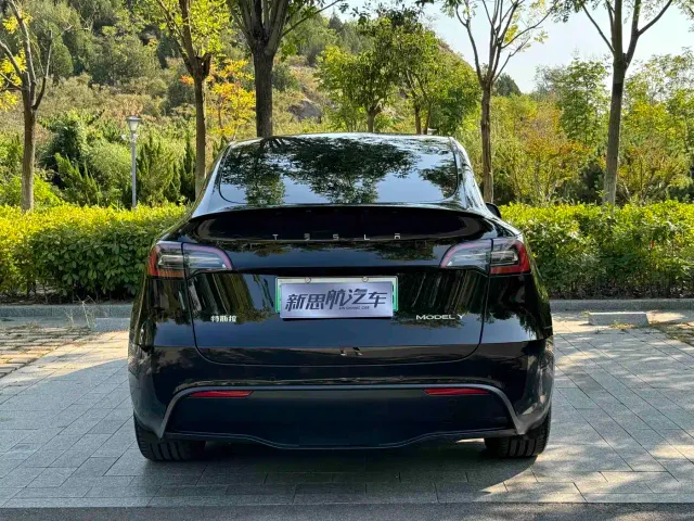 Tesla Model Y — Фото автомобиля 4