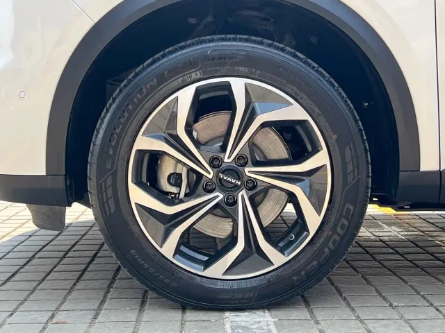 Haval Xiaolong MAX — Фото автомобиля 13