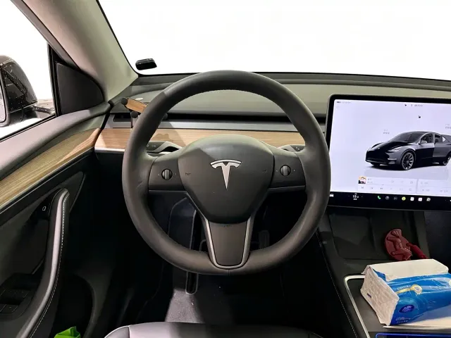 Tesla Model Y — Фото автомобиля 6