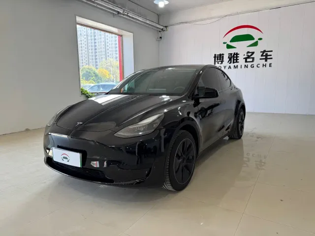 Tesla Model Y — Фото автомобиля 3