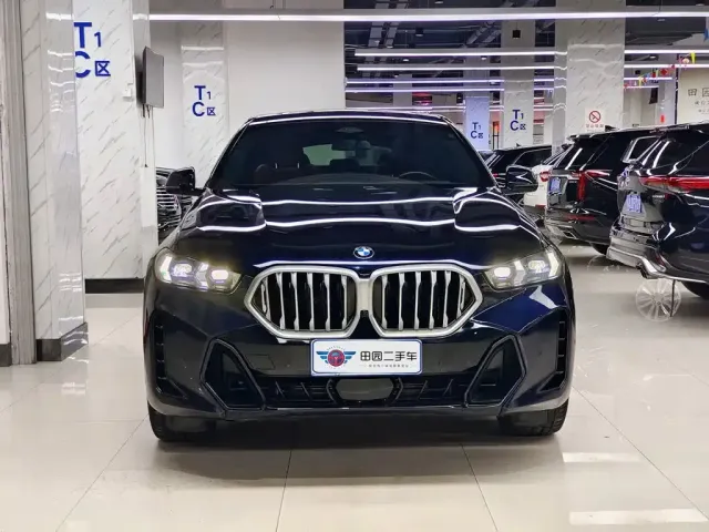 BMW X6 — Фото автомобиля 2