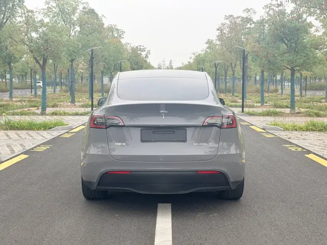 Tesla Model Y — Фото автомобиля 12