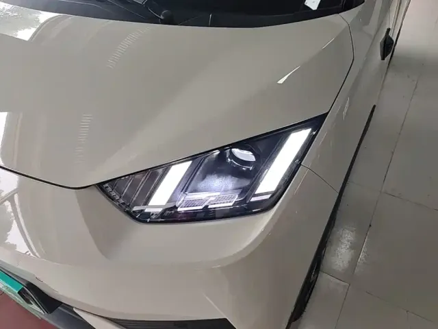 BYD Seagull 2025 Smart Drive Edition 305km Freedom Version — Фото автомобиля 23