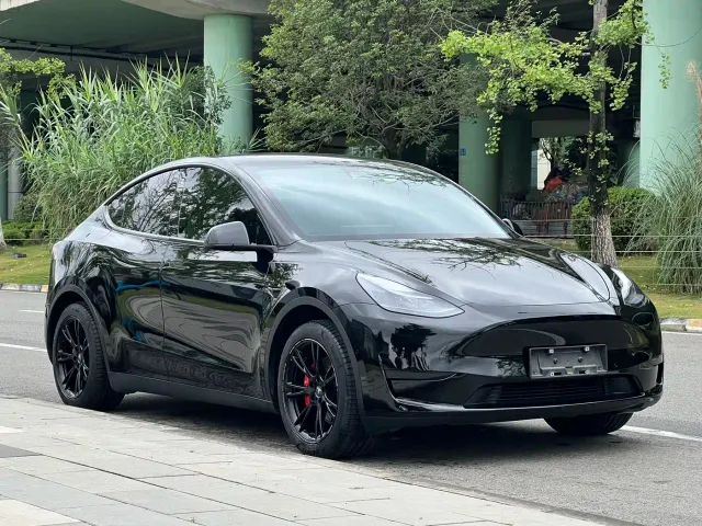 Tesla Model Y — Фото автомобиля 7