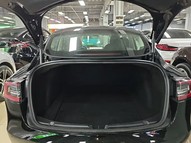 Tesla Model 3 — Фото автомобиля 18