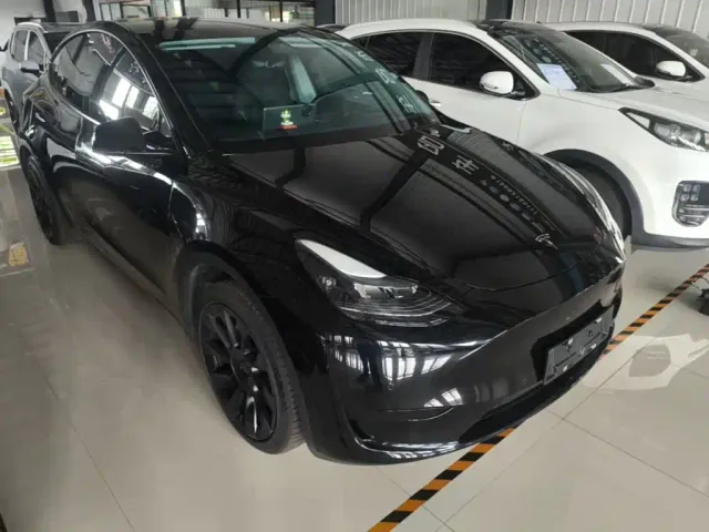 Tesla Model Y — Фото автомобиля 3