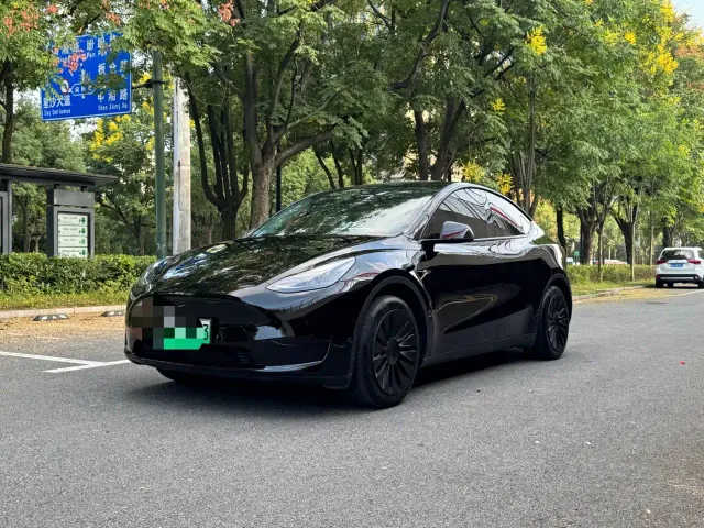 Tesla Model Y — Фото автомобиля 2