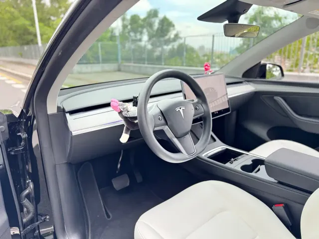 Tesla Model Y — Фото автомобиля 10