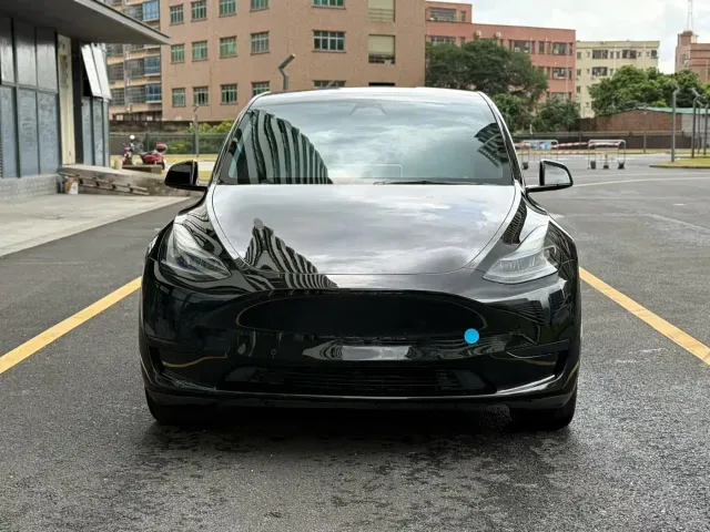 Tesla Model Y — Фото автомобиля 2
