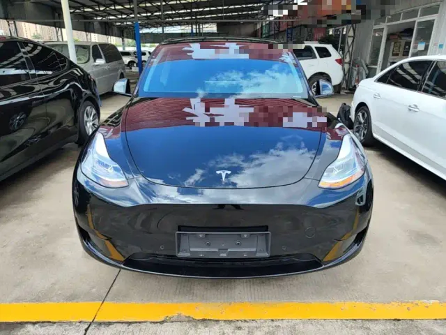 Tesla Model Y — Фото автомобиля 2