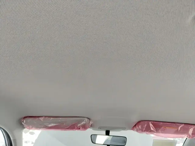 Geely Starry Wish — Фото автомобиля 17