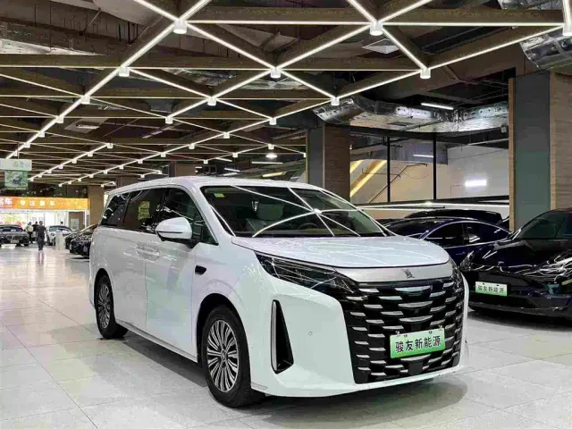 BYD Xia — Фото автомобиля 10