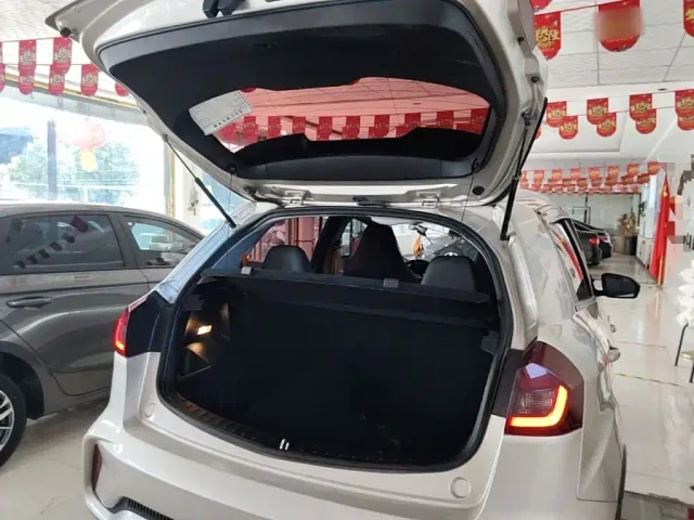 Livan X3 PRO — Фото автомобиля 18