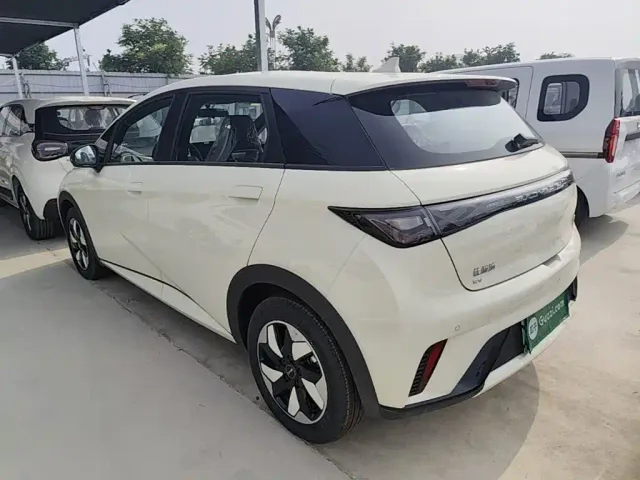 BYD Dolphin — Фото автомобиля 4