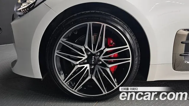 Kia Stinger Stinger Meister 2.5 Masters — Фото автомобиля 5