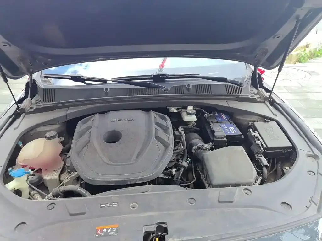 Geely Xing Rui 2023 2.0TD Premium Model — Фото автомобиля 21