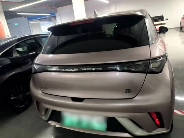 BYD Dolphin — Фото автомобиля 5
