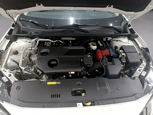Nissan Sylphy — Фото автомобиля 19