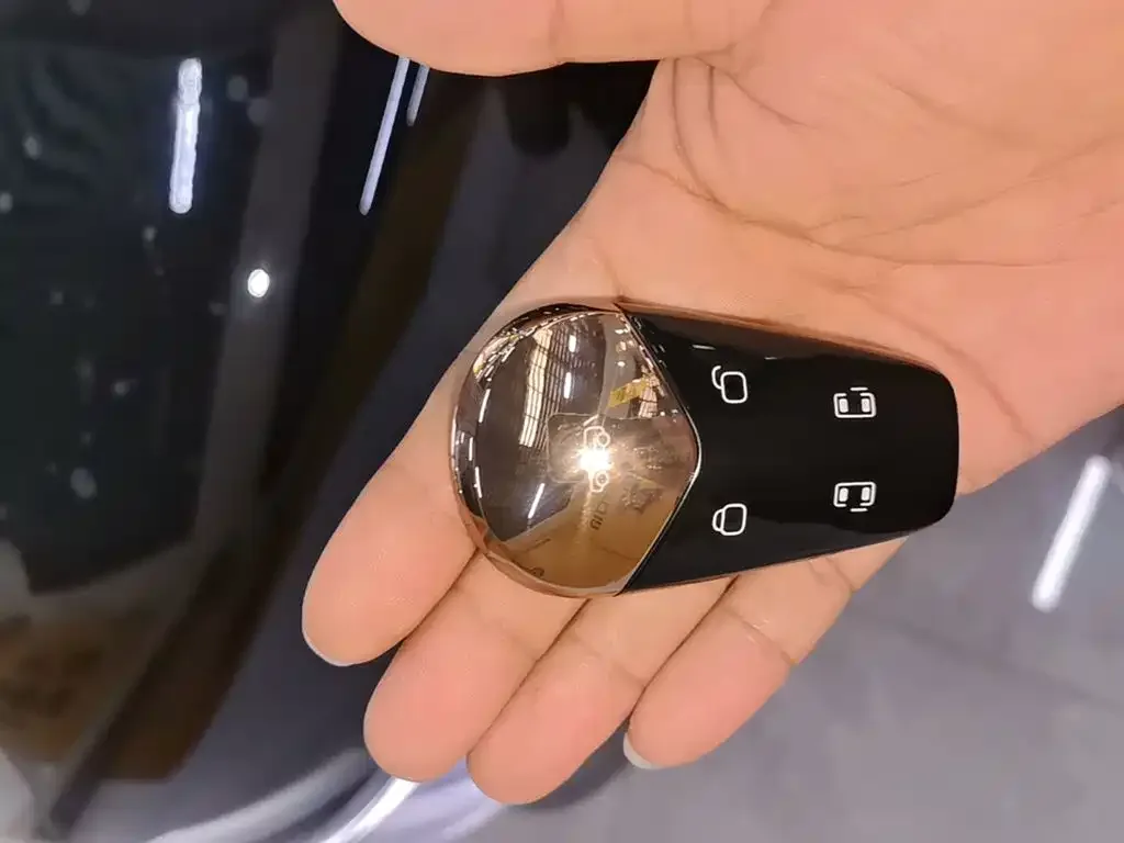 Voyah Auto Voyah Dreamer 2024 PHEV Extended Range Flagship Edition — Фото автомобиля 8