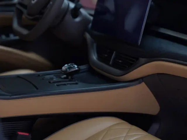 Denza D9 — Фото автомобиля 7