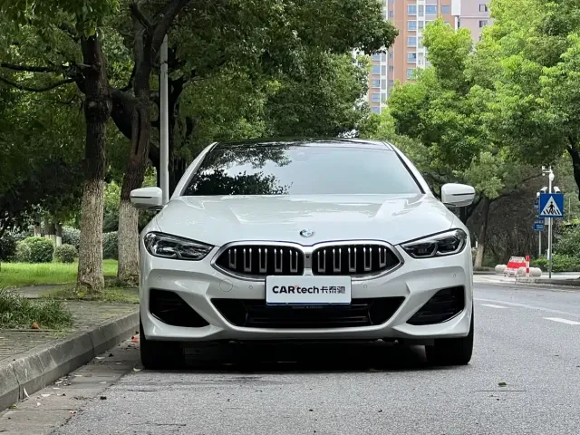 BMW 8 Series — Фото автомобиля 2