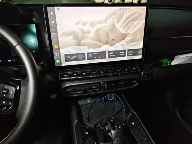 Haval Big Dog — Фото автомобиля 15