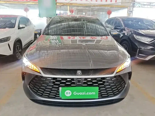 BYD Qin PLUS — Фото автомобиля 2