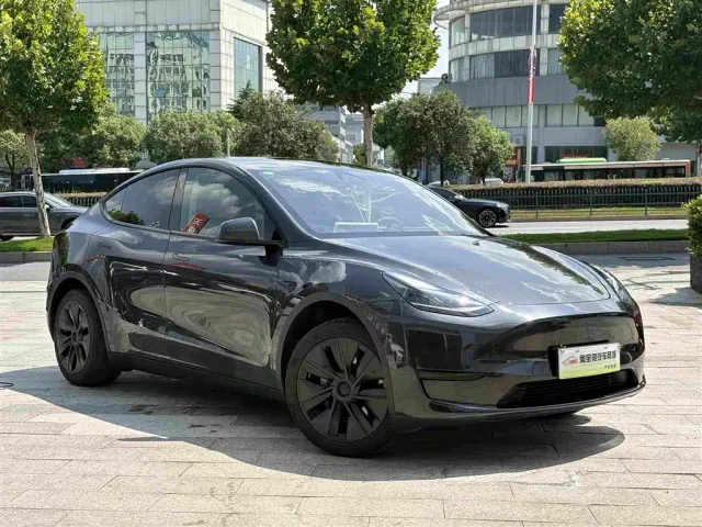 Tesla Model Y — Фото автомобиля 3