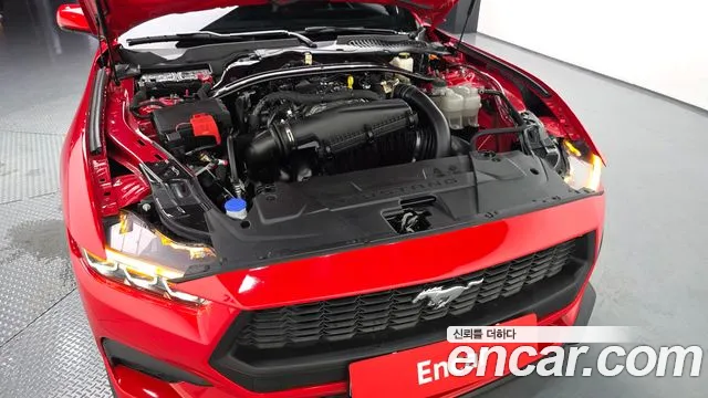 Ford Mustang — Фото автомобиля 5