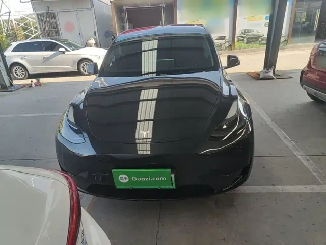 Tesla Model Y — Фото автомобиля 2