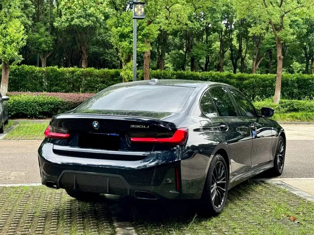 BMW 3 Series — Фото автомобиля 10