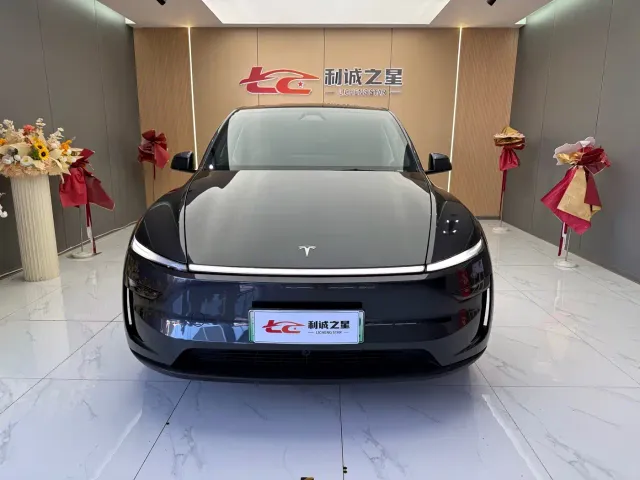 Tesla Model Y — Фото автомобиля 2