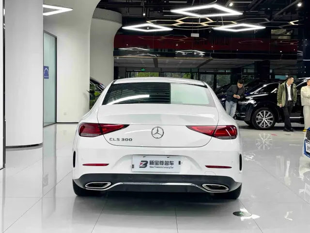 Mercedes-Benz CLS-Class — Фото автомобиля 17