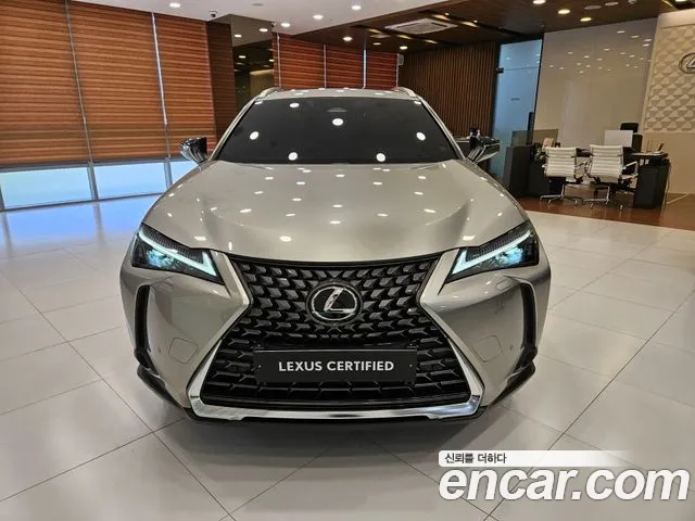 Lexus UX UX300h — Фото автомобиля 3
