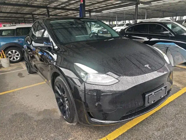 Tesla Model Y — Фото автомобиля 3