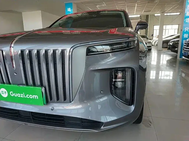 Hongqi E-HS9 — Фото автомобиля 23