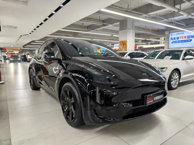 Tesla Model Y — Фото автомобиля 3
