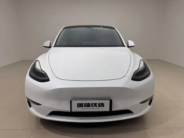 Tesla Model Y — Фото автомобиля 2